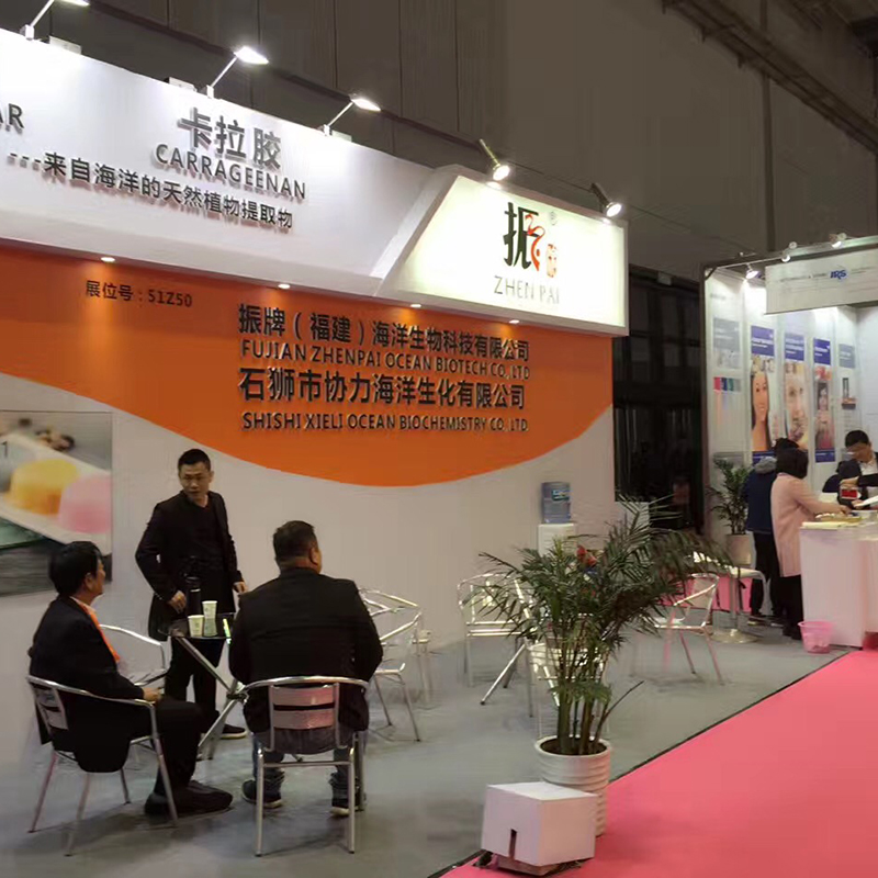 FIC 2017