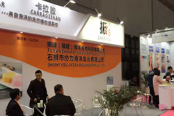 FIC 2017